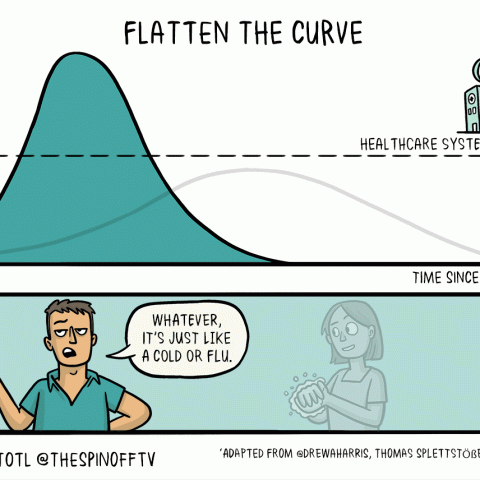 Covid-19 Flatten The Curve